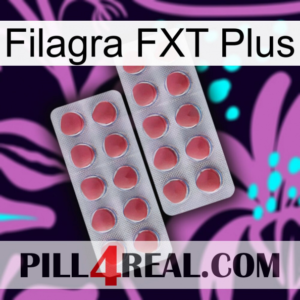 Filagra FXT Plus 19.jpg